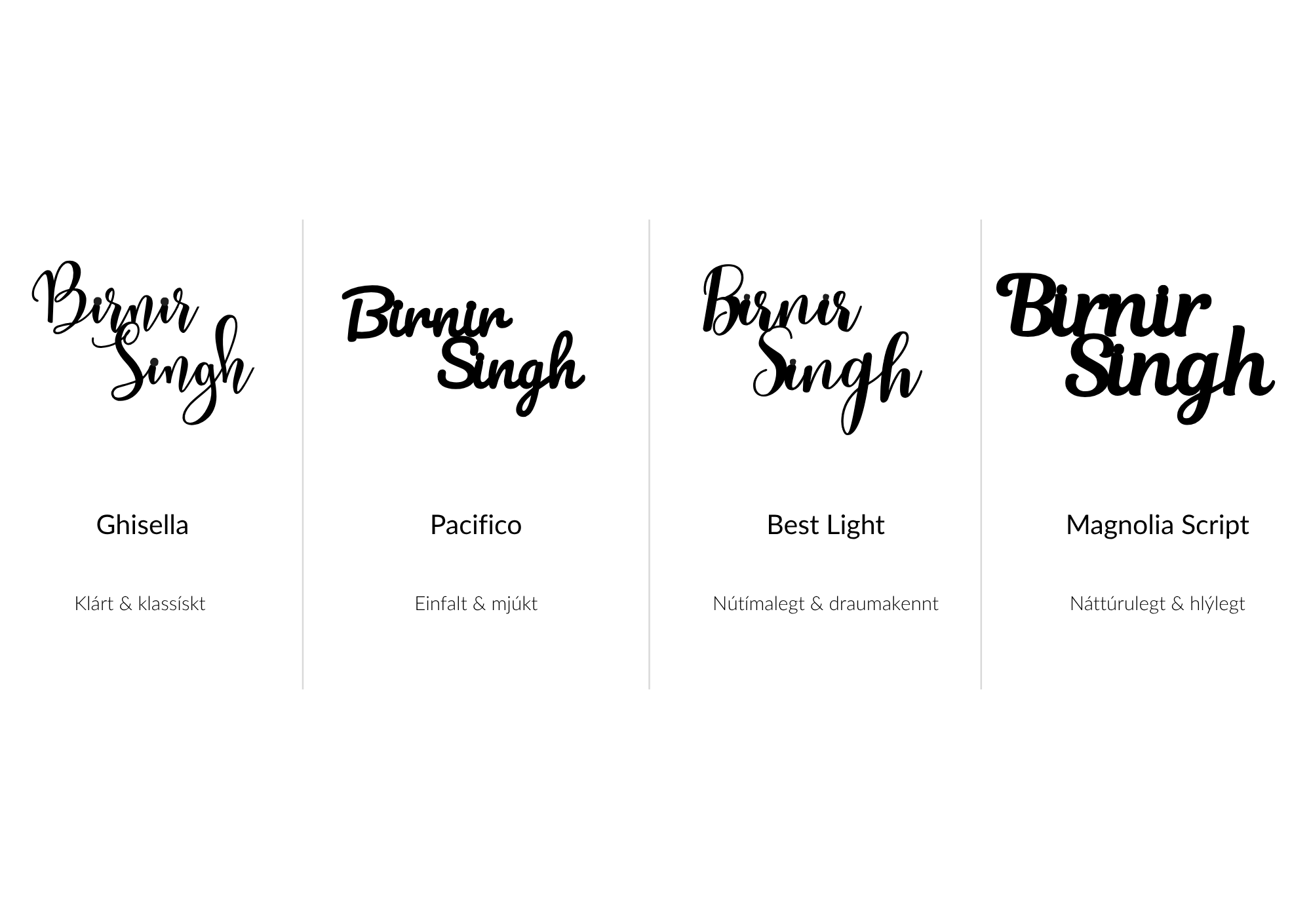 Leturval - Birnir Singh